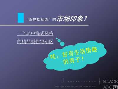 城市绿洲——xx棕榈园 重新定义理想居所，销售与推广策略升级