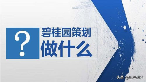 碧桂园项目开盘前策划标准动作指引